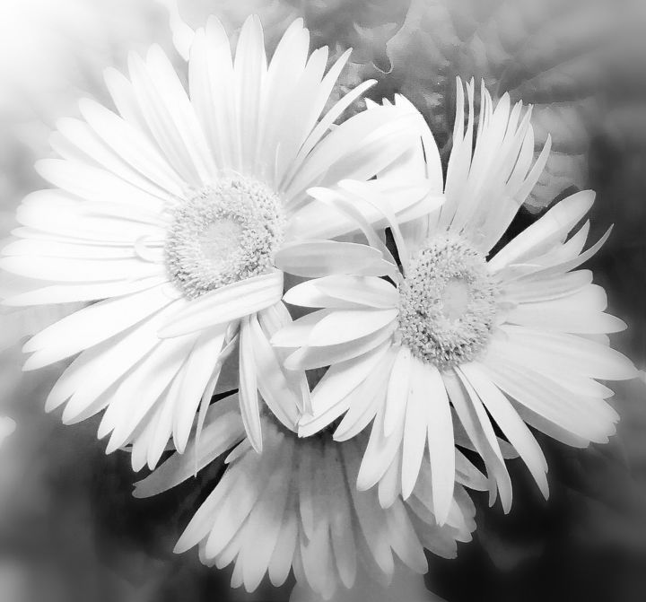 Photographie intitulée "Kindness" par Leïla Kissner, Œuvre d'art originale, Photographie numérique