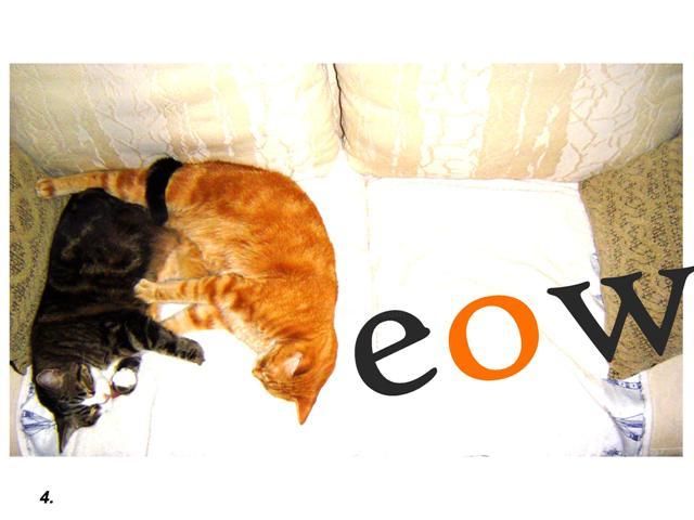 Photography titled "Meow" by Elise Stanley, Original Art,