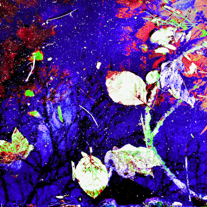 Photography titled "Arum in the night" by Elise Vincent, Original Artwork, Digital Photography Mounted on Aluminium