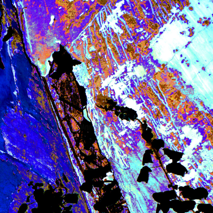 Photography titled "Kind of Pollock" by Elise Vincent, Original Artwork, Digital Photography
