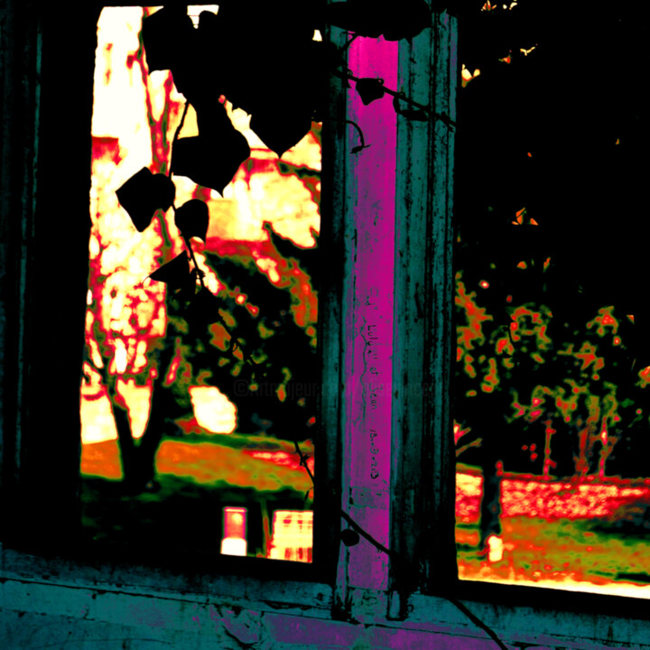 Photography titled "Through the window" by Elise Vincent, Original Artwork, Digital Photography Mounted on Aluminium