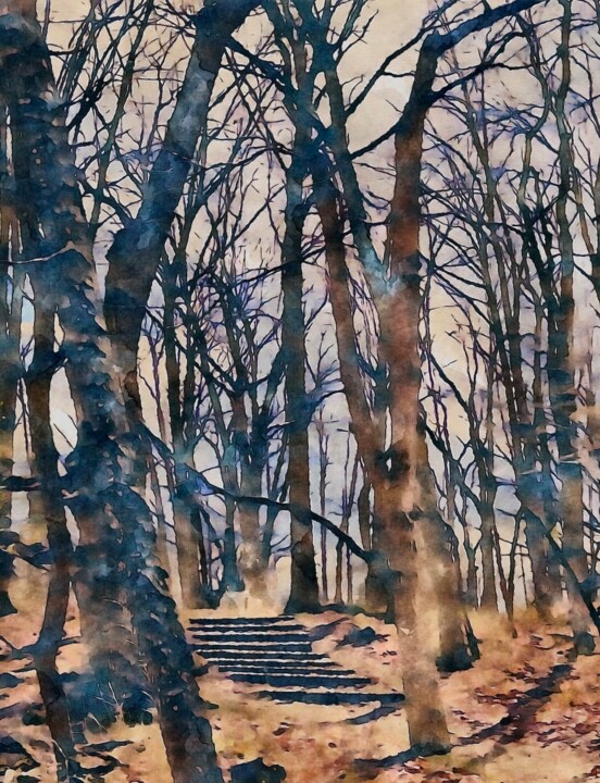 Photography titled "Stairs in the Woods…" by Elizabeth Austin, Original Artwork, Manipulated Photography