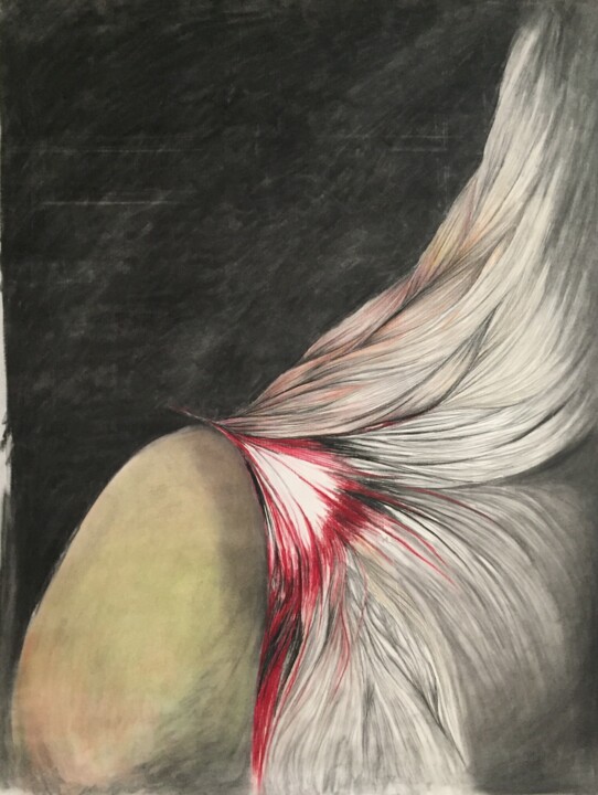 Drawing titled "Dissection of Self 2" by Elizabeth Hefty-Khoury, Original Artwork, Charcoal