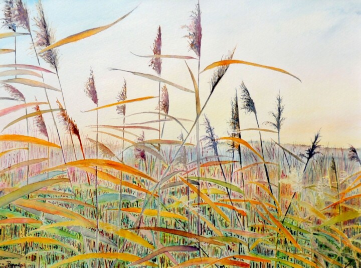 Malerei mit dem Titel "Fen Reeds" von Elizabeth Sadler, Original-Kunstwerk, Aquarell Auf Andere starre Platte montiert