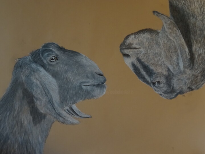 Drawing titled "Goat Interactions" by Elke Matthaeus, Original Artwork, Chalk