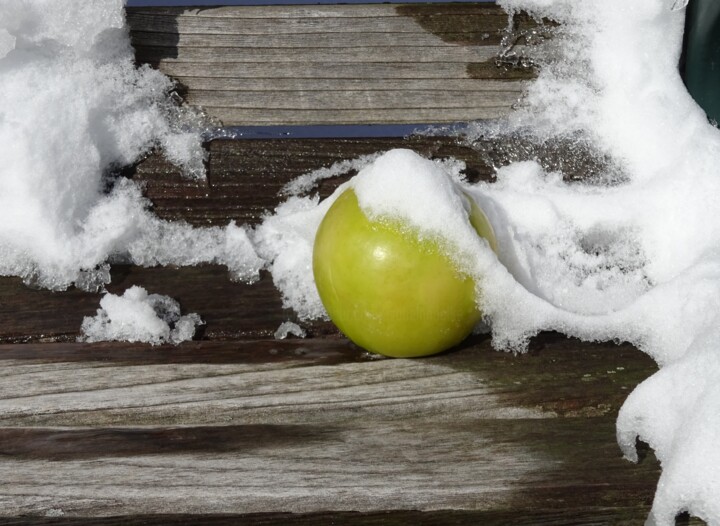 Photographie intitulée "Apple in Snow" par Elke Matthaeus, Œuvre d'art originale