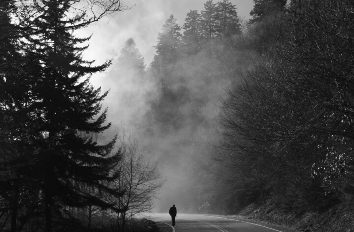 "Mystical Fog" başlıklı Fotoğraf Elke Matthaeus tarafından, Orijinal sanat