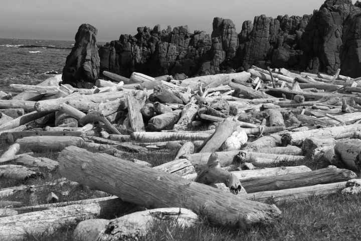 Photography titled "Driftwood in Iceland" by Elke Matthaeus, Original Artwork