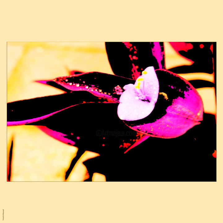 Digital Arts titled "fleur couleur2" by Youssef El Kharroufi, Original Artwork, Digital Painting