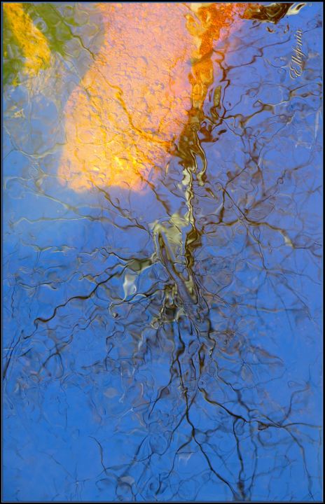 Photographie intitulée "un-monde-d-eau.jpg" par Ellefenix, Œuvre d'art originale