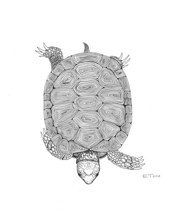 Dessin intitulée "Tortoise" par Ellie Tea, Œuvre d'art originale, Encre