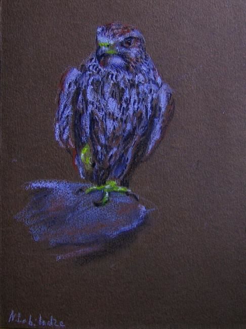 Dessin intitulée "The falcon" par Nina Lobiladze, Œuvre d'art originale