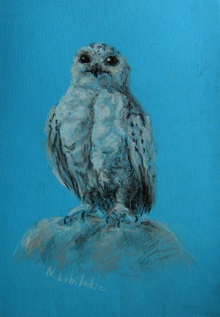 Dessin intitulée "Polar owl" par Nina Lobiladze, Œuvre d'art originale