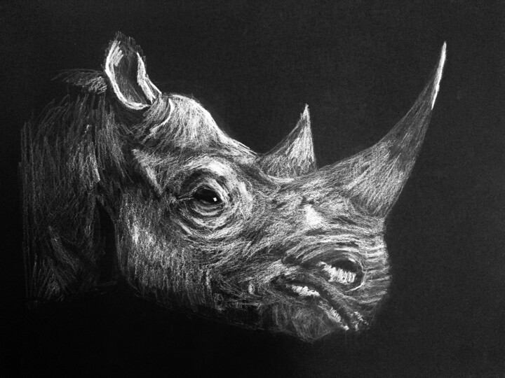 Tekening getiteld "Rhino" door Elodie Guiraud Egc, Origineel Kunstwerk, Krijt