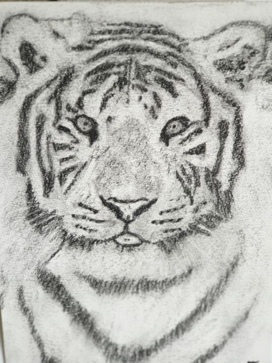 Le Tigre Blanc Drawing By Elwan Gete Artmajeur Le Tigre Blanc Drawing By Elwan Gete Artmajeur