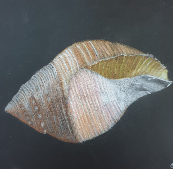 Painting titled "Le Coquillage" by Elwan Gété, Original Artwork, Watercolor