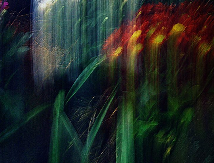"impressionista-2.jpg" başlıklı Fotoğraf Elza Cohen tarafından, Orijinal sanat