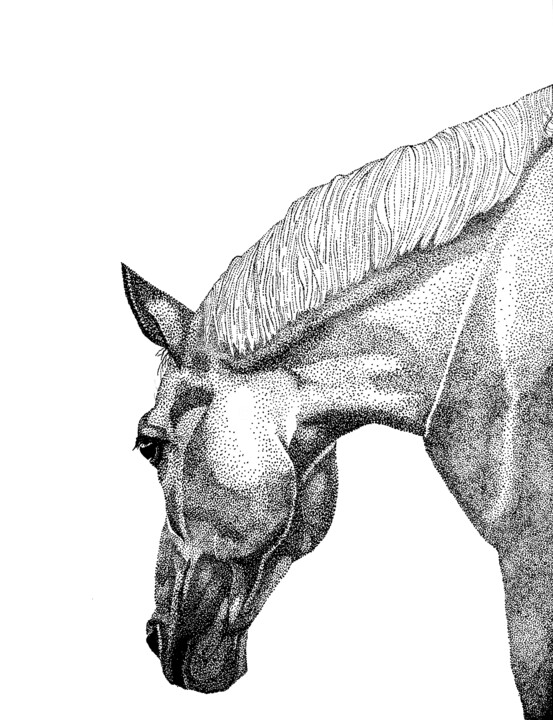 Drawing titled "Paard" by Elzem, Original Artwork, Ink