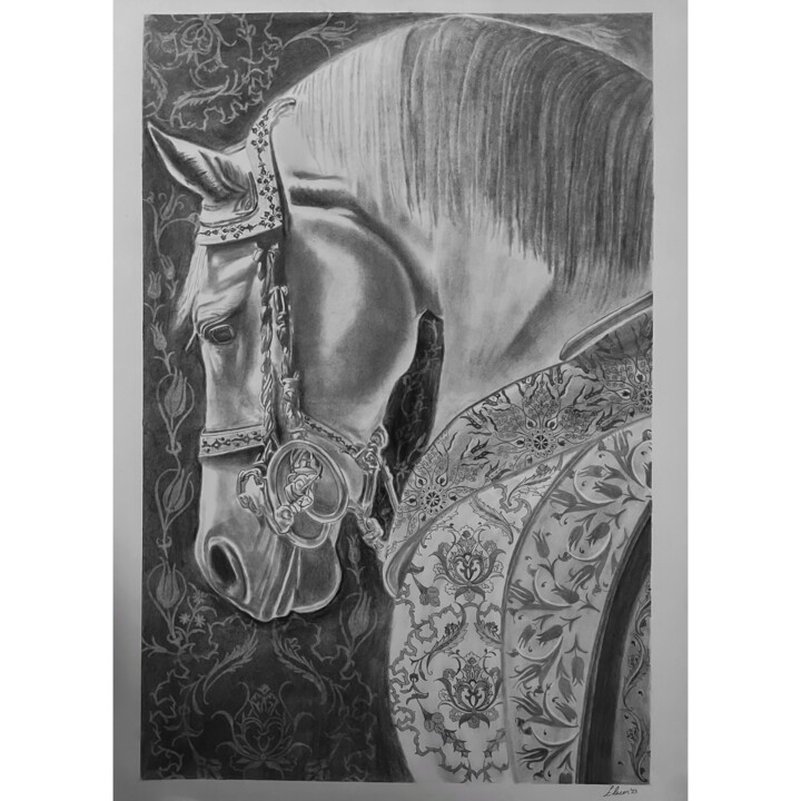 Tekening getiteld "A horse with Turkis…" door Elzem, Origineel Kunstwerk, Houtskool