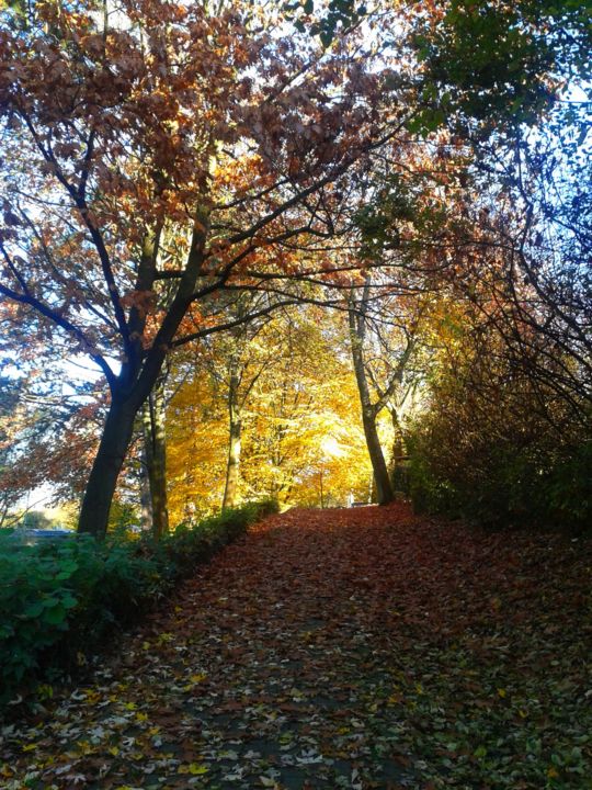 Fotografie mit dem Titel "Herbstgold" von Emivita, Original-Kunstwerk, Digitale Fotografie