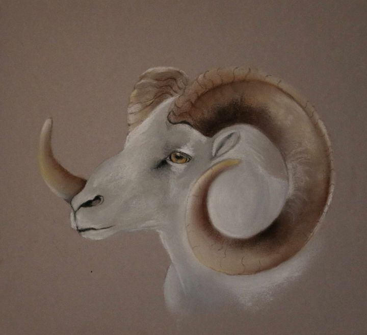 Peinture intitulée "Mouflon" par Evelyne Masson, Œuvre d'art originale, Pastel