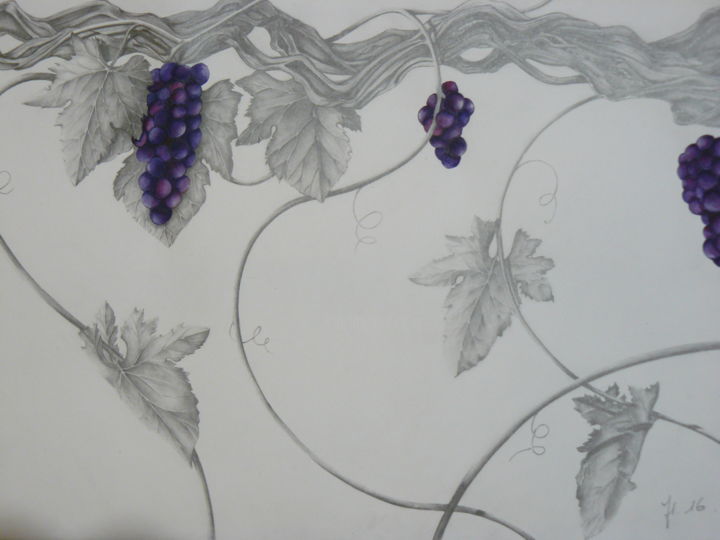 Jardin De Bacchusjpg Emeline Bourcerie