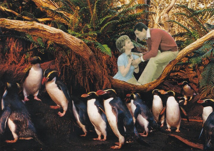 Colagens intitulada "Penguins" por Emilie Desault, Obras de arte originais, Colagens