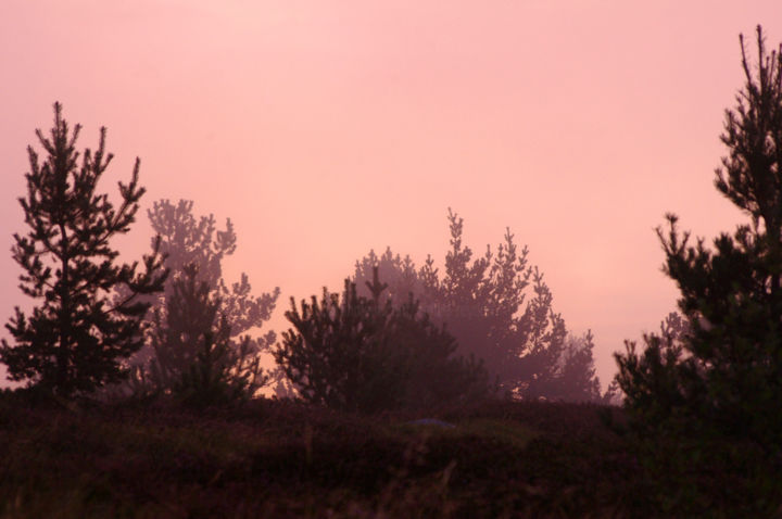 Photographie intitulée "Ombres roses" par Emilie Reydon, Œuvre d'art originale