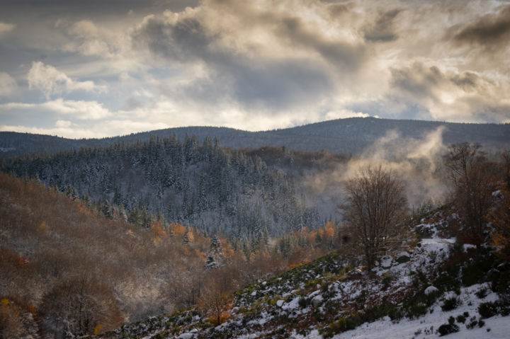 Fotografia intitulada "Couleurs d'hiver - 2" por Emilie Reydon, Obras de arte originais, Fotografia digital