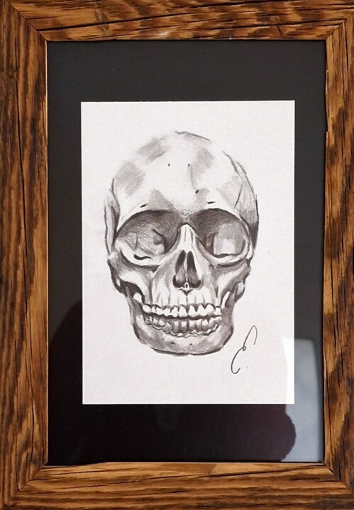 Drawing titled "Skull" by Émilie Zahno, Original Artwork, Pencil Mounted on Cardboard