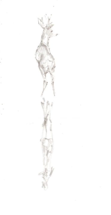 Drawing titled "Jeune cerf" by Lorenz, Original Art, Pencil