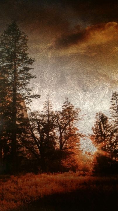 Photography titled "La forêt mystérieuse" by Emma Laflute, Original Artwork, Digital Photography