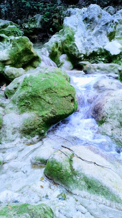 Fotografia zatytułowany „Le ruisseau sauvage” autorstwa Emma Laflute, Oryginalna praca, Fotografia cyfrowa