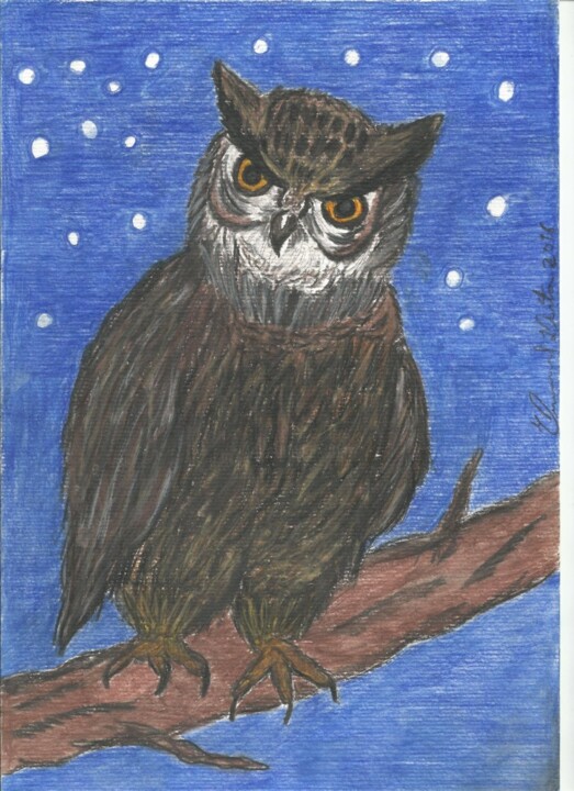 Pintura intitulada "A coruja" por Emmanuel Costa, Obras de arte originais, Pastel