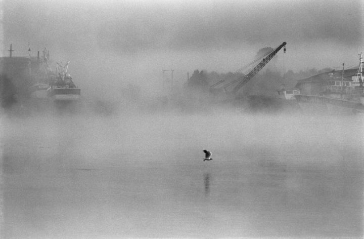 Fotografia zatytułowany „Valdivia, Chile” autorstwa Emmanuel Juste, Oryginalna praca, Fotografia filmowa