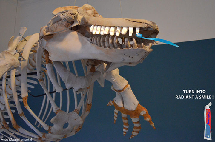 Photographie intitulée "002-teeth-site.jpg" par Emmanuel Jahan, Œuvre d'art originale