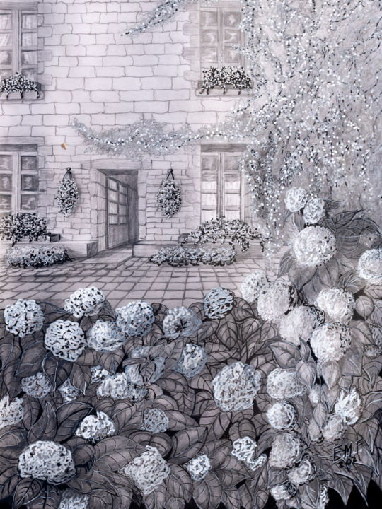 Drawing titled "Hortensias à Locron…" by Emmanuelle Menny Fleuridas, Original Artwork, Graphite