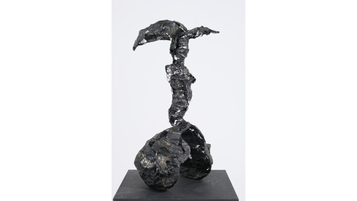 Sculpture intitulée "Rise of Success" par Emre Aksu, Œuvre d'art originale, Fil de fer