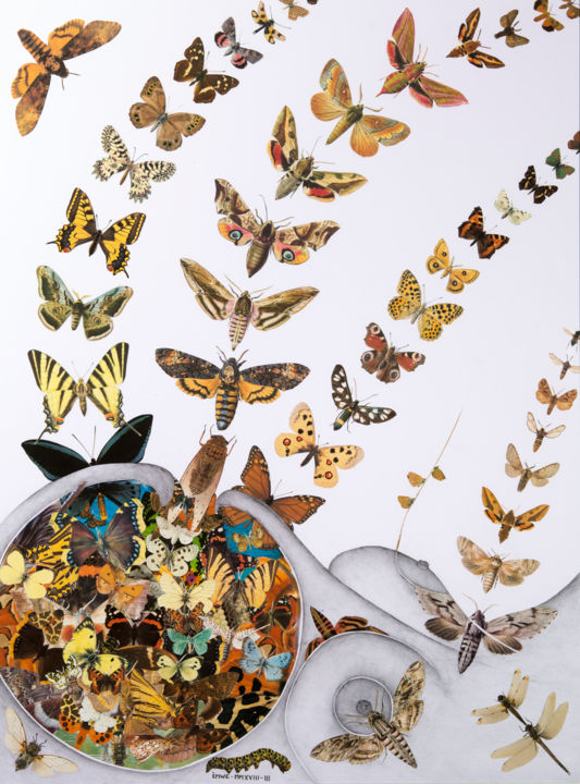 Рисунок под названием "Butterfly's in my b…" - Èmwé, Подлинное произведение искусства, Карандаш
