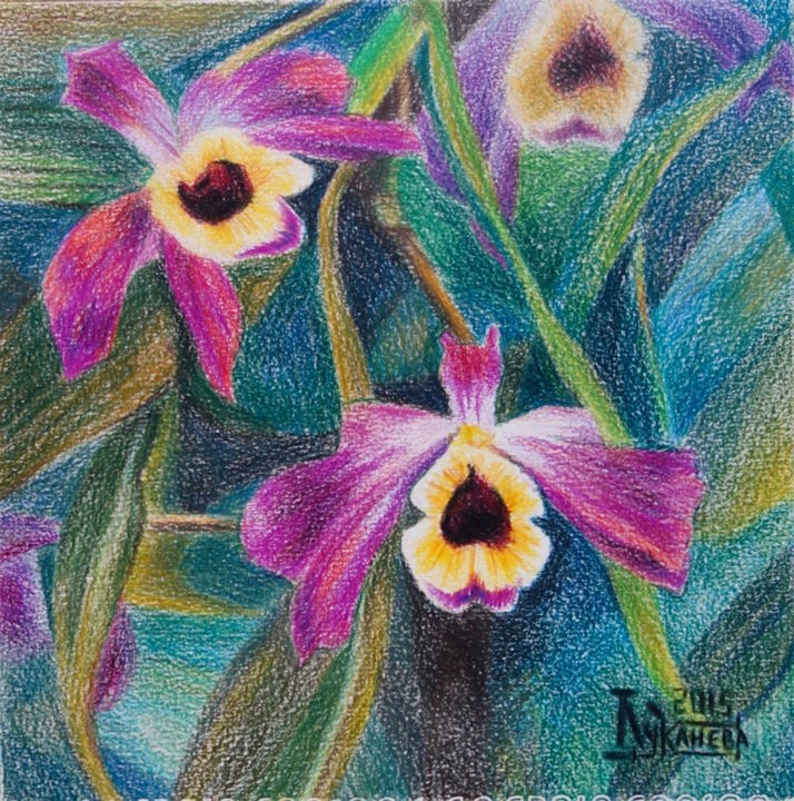 Zeichnungen mit dem Titel "Dendrobium" von Larissa Lukaneva, Original-Kunstwerk, Bleistift
