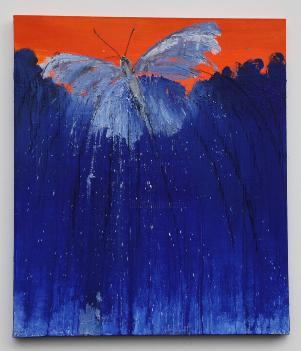 제목이 "Il volo"인 미술작품 Enzo Archetti로, 원작, 아크릴 나무 들것 프레임에 장착됨