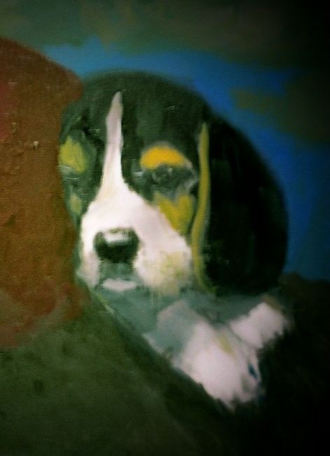 Painting titled "Sleepy Beagle" by Robert Berrigan, Original Artwork