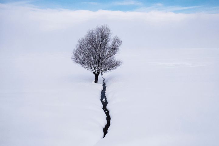 Fotografia zatytułowany „Alone tree” autorstwa Eren Çevik, Oryginalna praca
