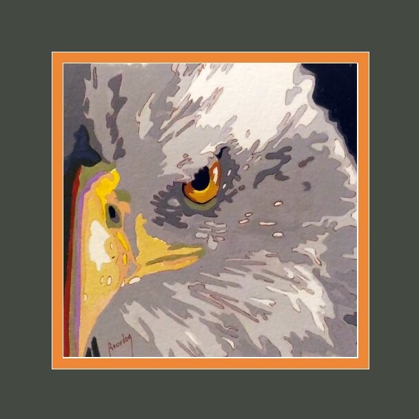 Peinture intitulée "bald eagle" par Eric Bourdon, Œuvre d'art originale, Huile