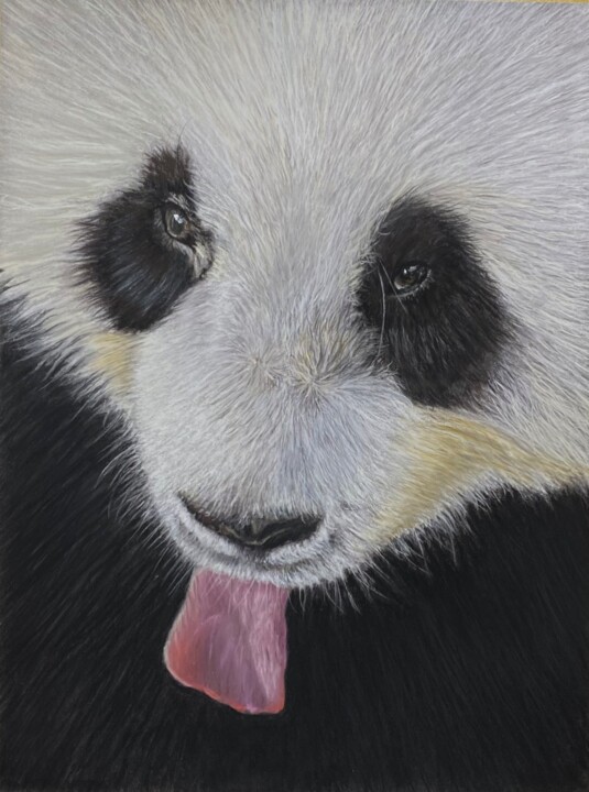 Painting titled "Le regard du Panda" by Eric Delesalle, Original Artwork, Pastel