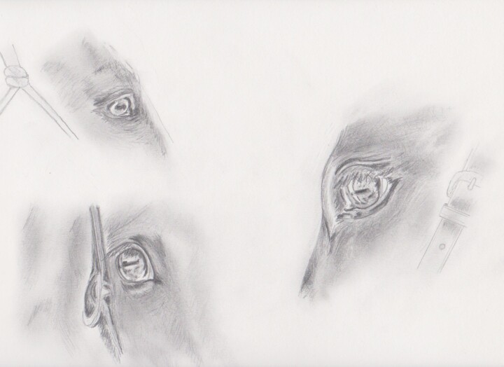Drawing titled "Horses Eyes Sketch" by Eric L Vadé, Original Artwork, Pencil