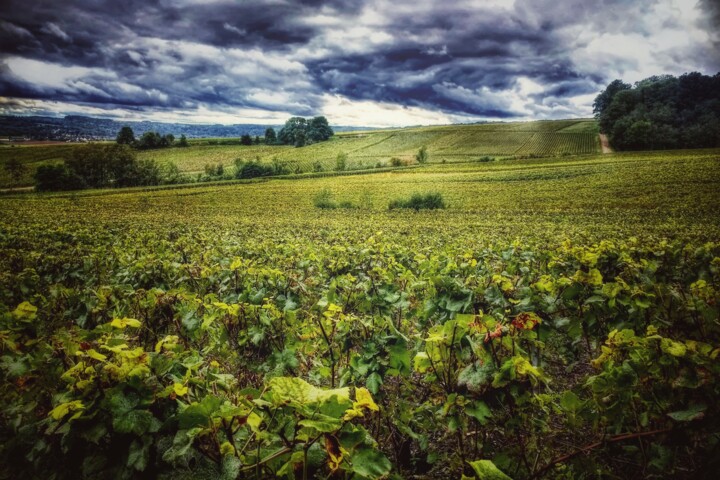 Photographie intitulée "Paysage De Champagn…" par Eric L Vadé, Œuvre d'art originale, Photographie numérique