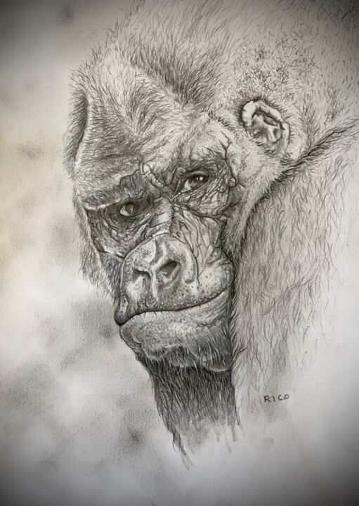 Σχέδιο με τίτλο "Gorille #1 - dessin…" από Eric Leroy (Rico), Αυθεντικά έργα τέχνης, Γραφίτης