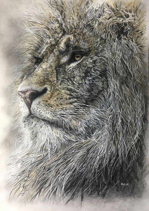 Drawing titled "Lion - graphite - h…" by Eric Leroy (Rico), Original Artwork, Graphite