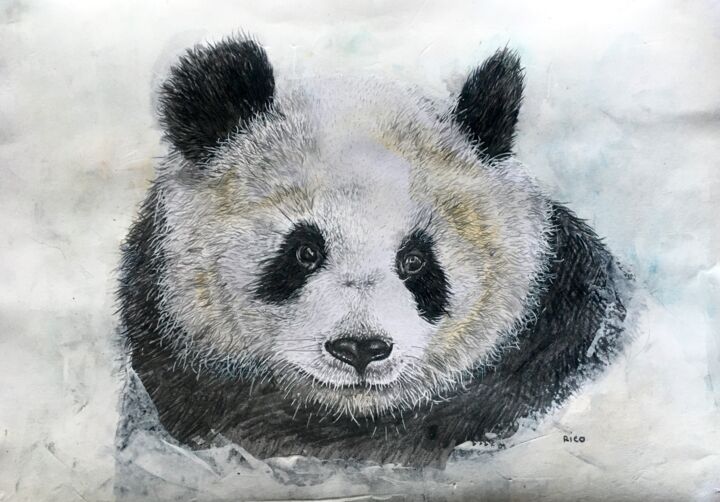 Рисунок под названием "Panda - graphite -…" - Eric Leroy (Rico), Подлинное произведение искусства, Графит